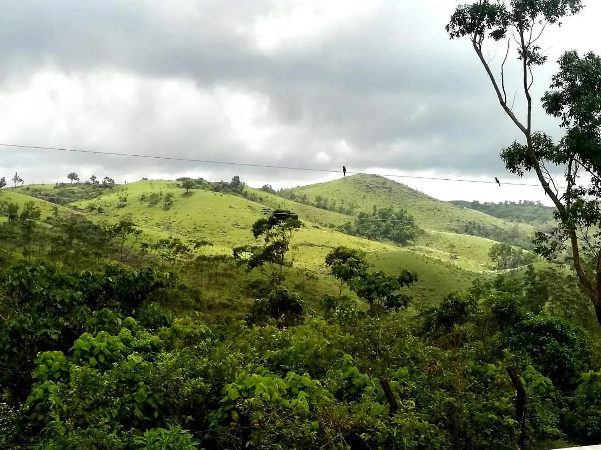 Winter Woods Apartment Vagamon 0*,  India