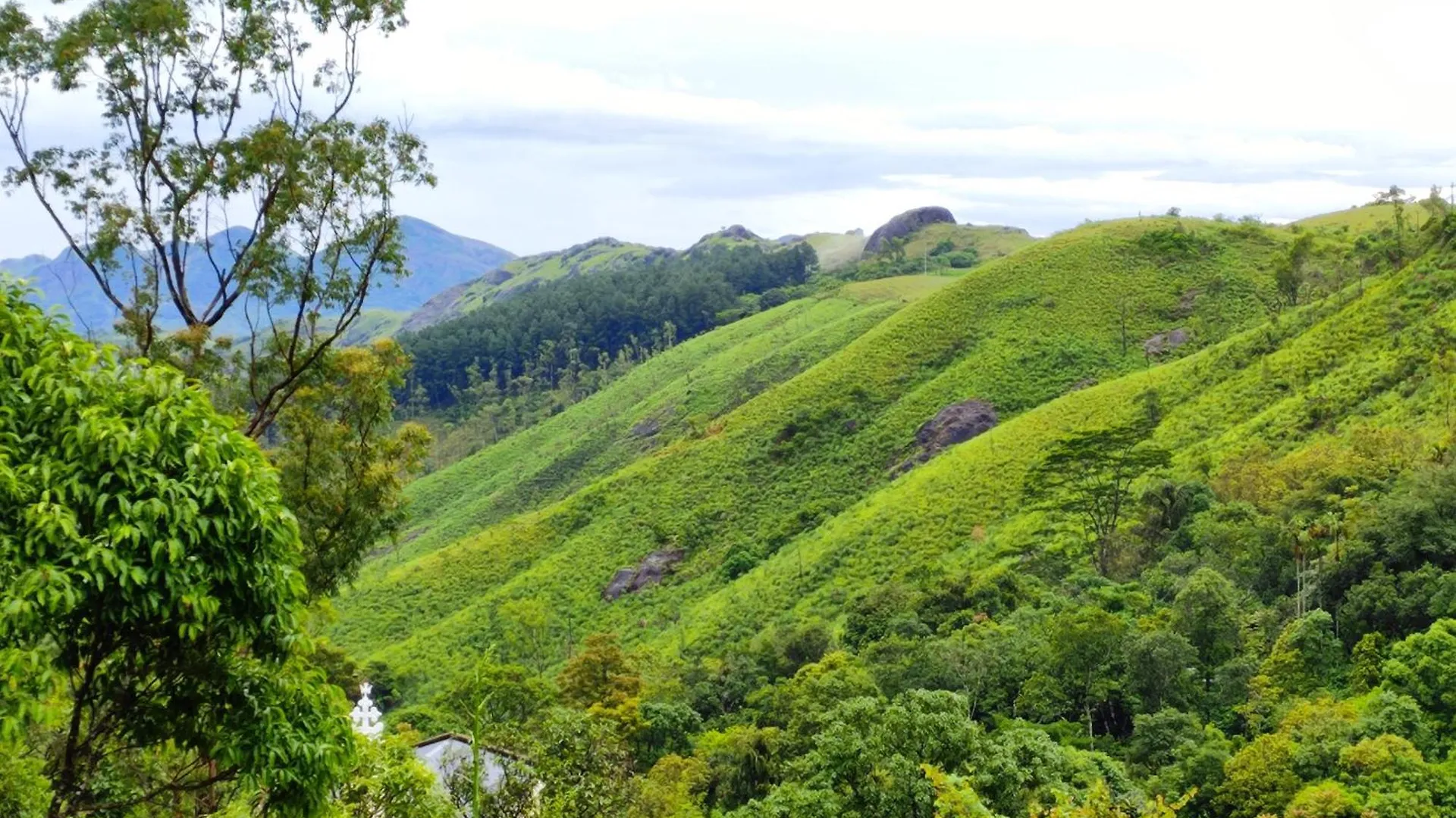 Winter Woods Apartment Vagamon Homestay