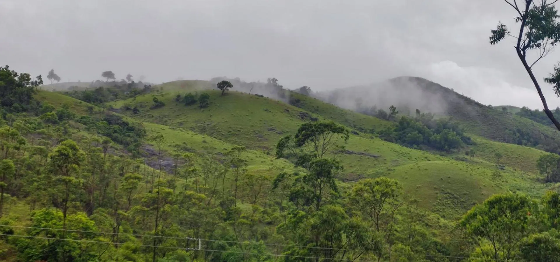 Winter Woods Daire Vagamon Pansiyon