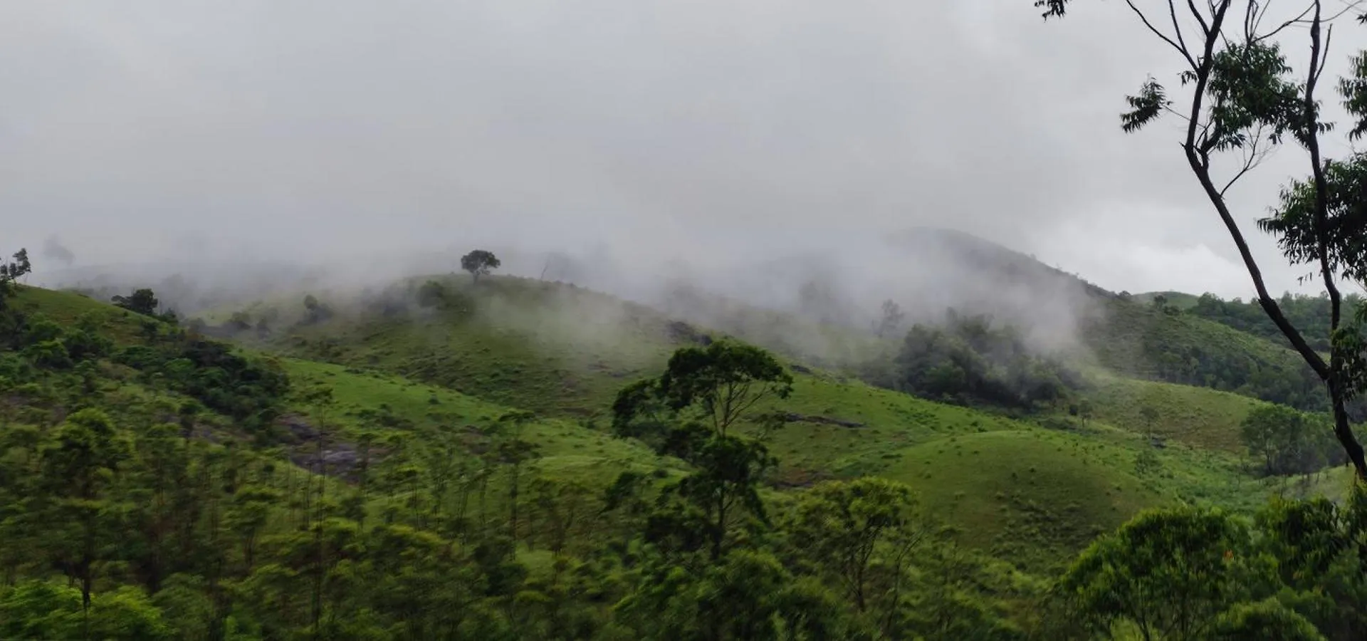 Winter Woods Apartment Vagamon